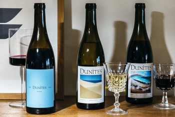 2020 Syrah sans soufre